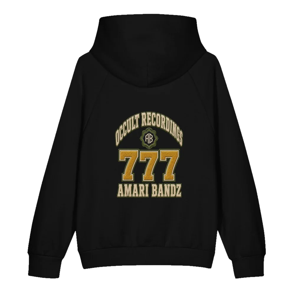 AMARI BANDZ Varsity Hoodie — back